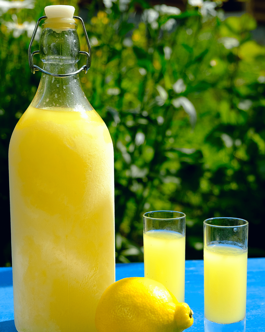 Limoncello med friske økologiske citroner