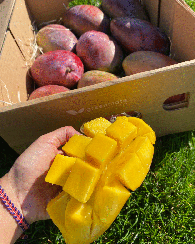 Kasse med mangoer og n skrællet mango