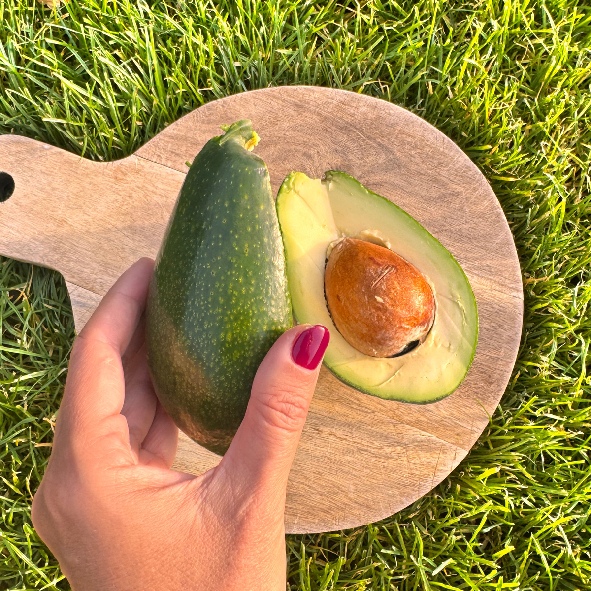 Bacon avocado