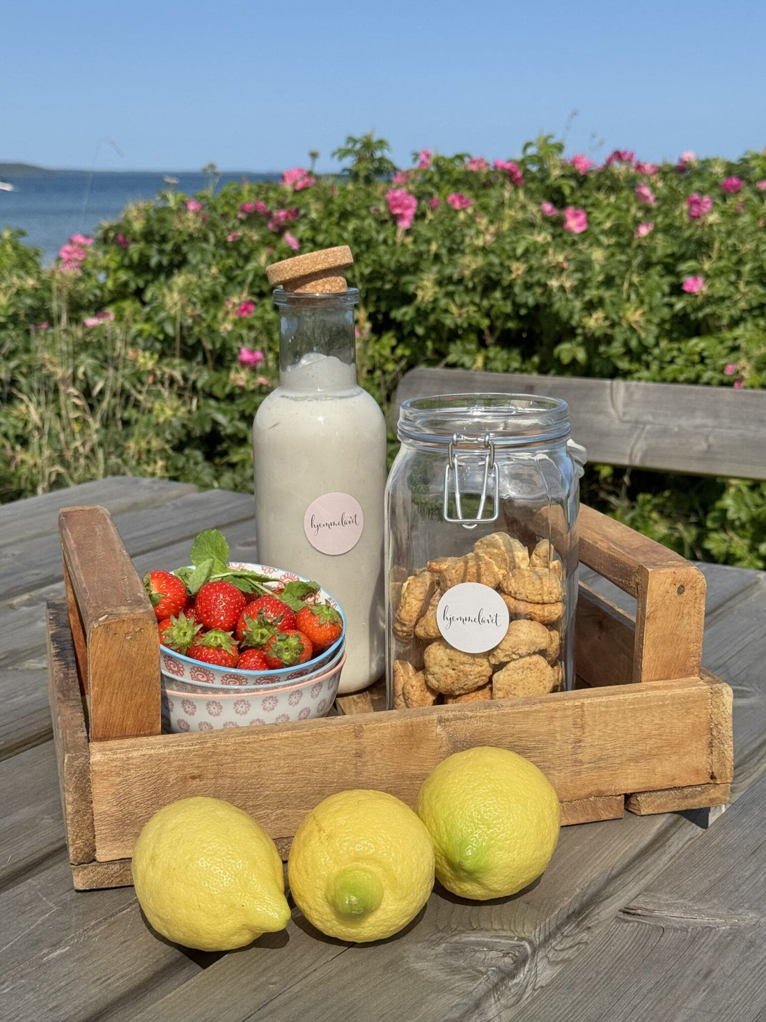 Koldskål, kammerjunkere og citroner 