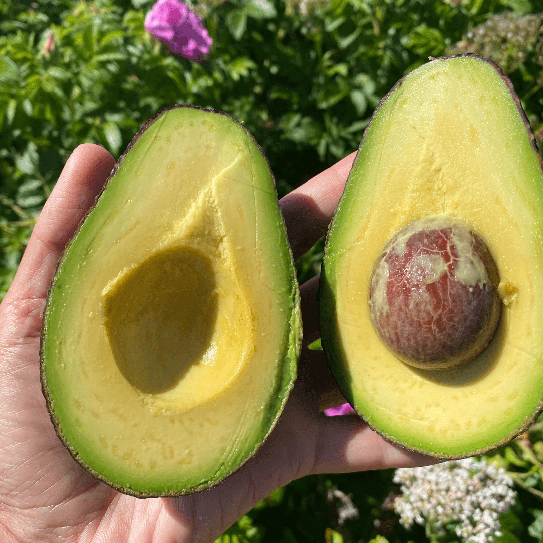 Avocado: 3 enkle antiinflammatoriske tips