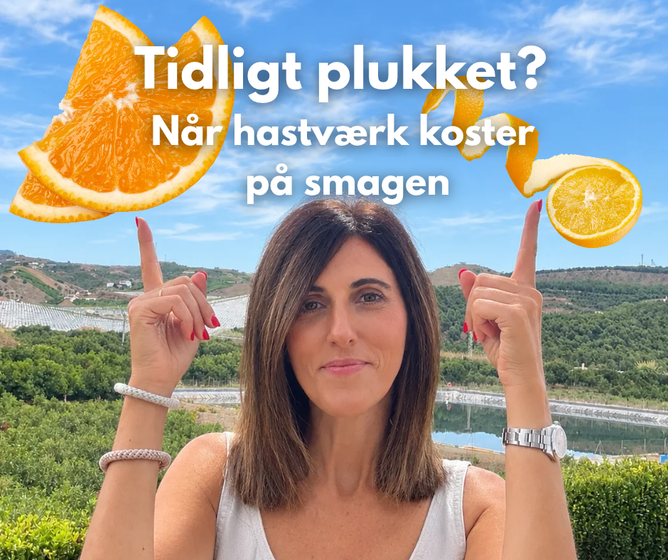Appelsin i Spanien plukket for tidligt