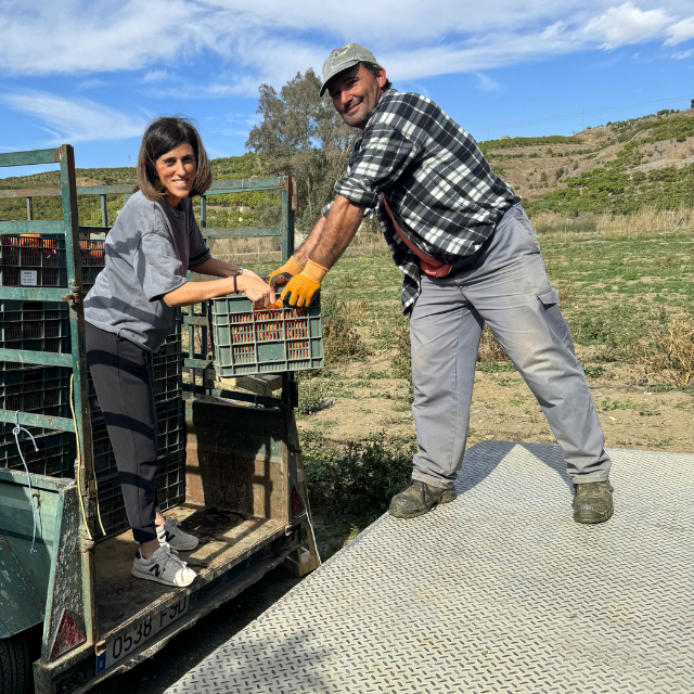Two people working together to load crates onto a truck in an outdoor setting.