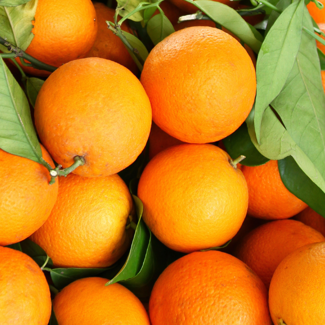 oranges with leaf