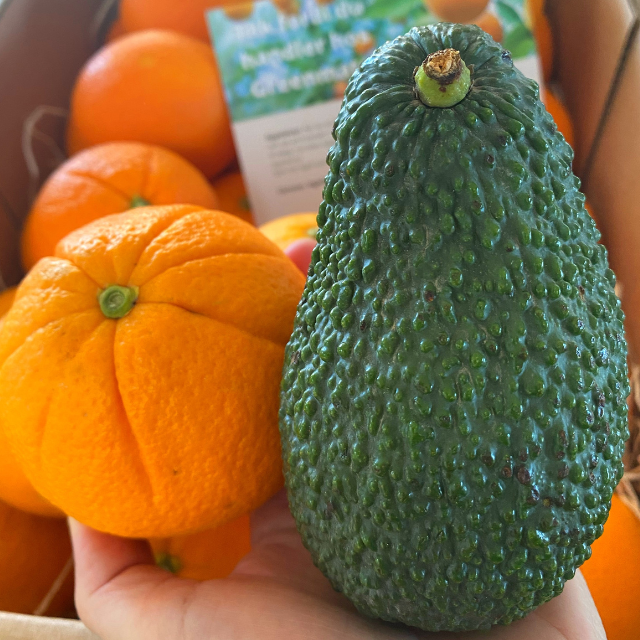 Avocado and orange