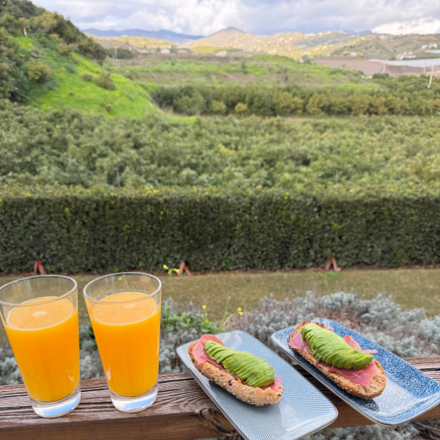 Avocadotoast and fresh orange juice at the farm