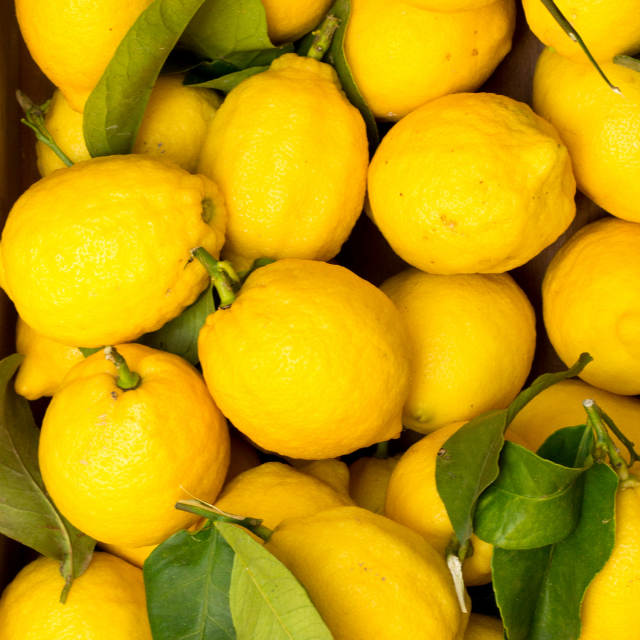 Organic lemons with leaf from the farm