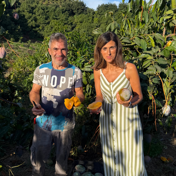 Mand og kvinde med nyhøstede Osteen-mangoer i farmen