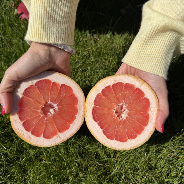 Two hands showing two grapefruits in the grass