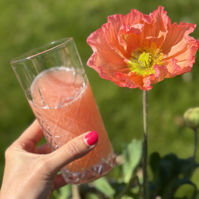 Glas med friskpresset grapefrugt ved siden af en lyserød blomst i haven