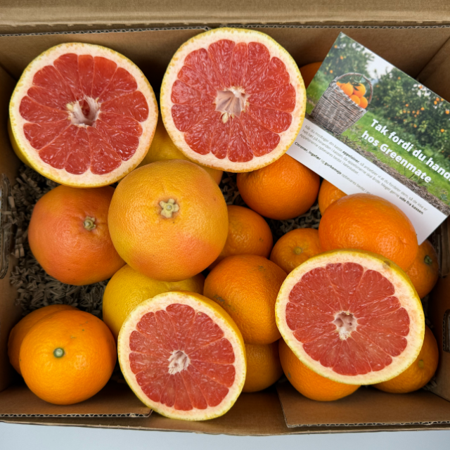 Papkasse fyldt med grapefrugter