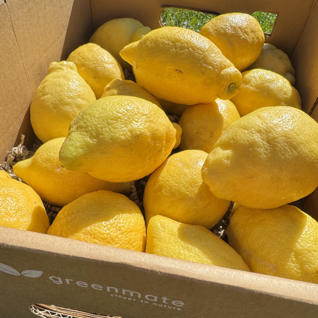 Box of lemons with 'greenmate' branding on a cardboard box.