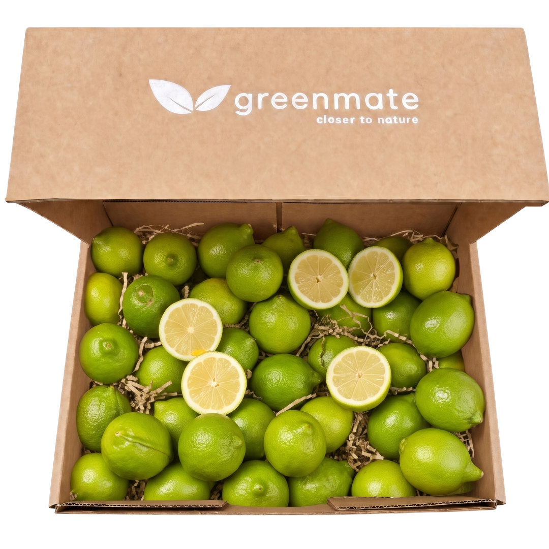 Økologisk citron 4 kg (26-28 stk.)
