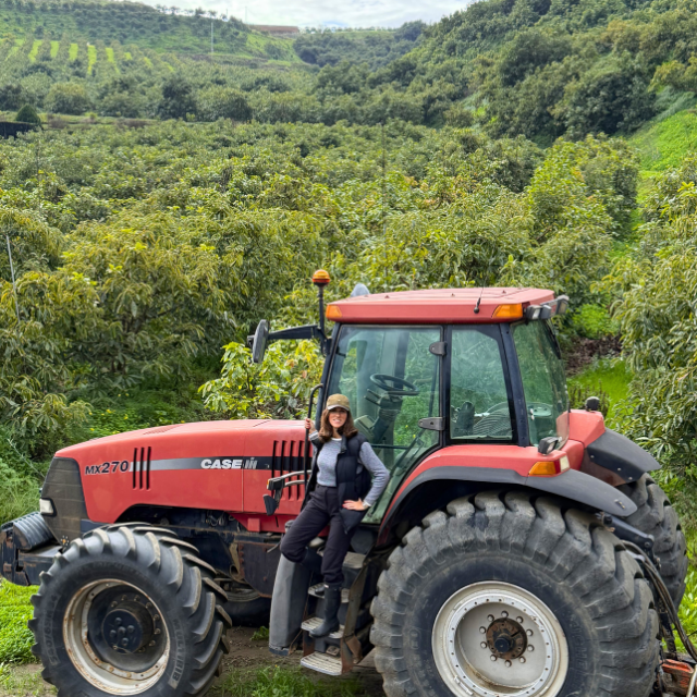 Person standing next to a red Case tractor in a green, hilly landscape