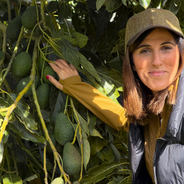 Woman standing next to an avocado tree with avocados on a branch