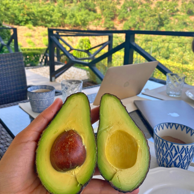 Person holding a halved avocado with a scenic outdoor background