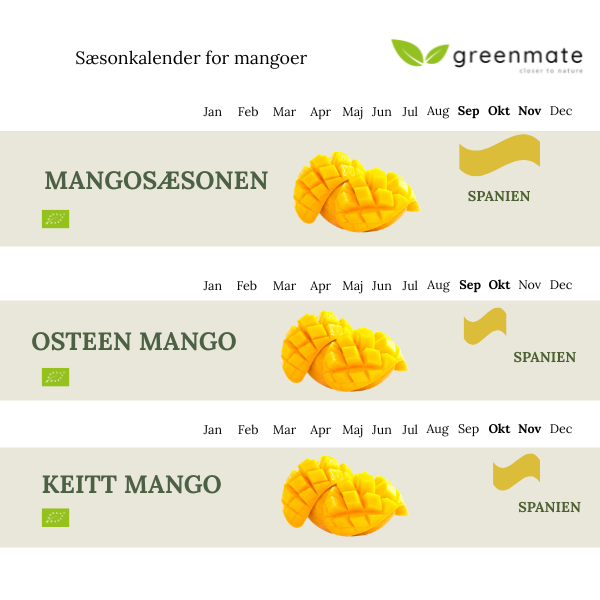 Mango-sæsonkalender