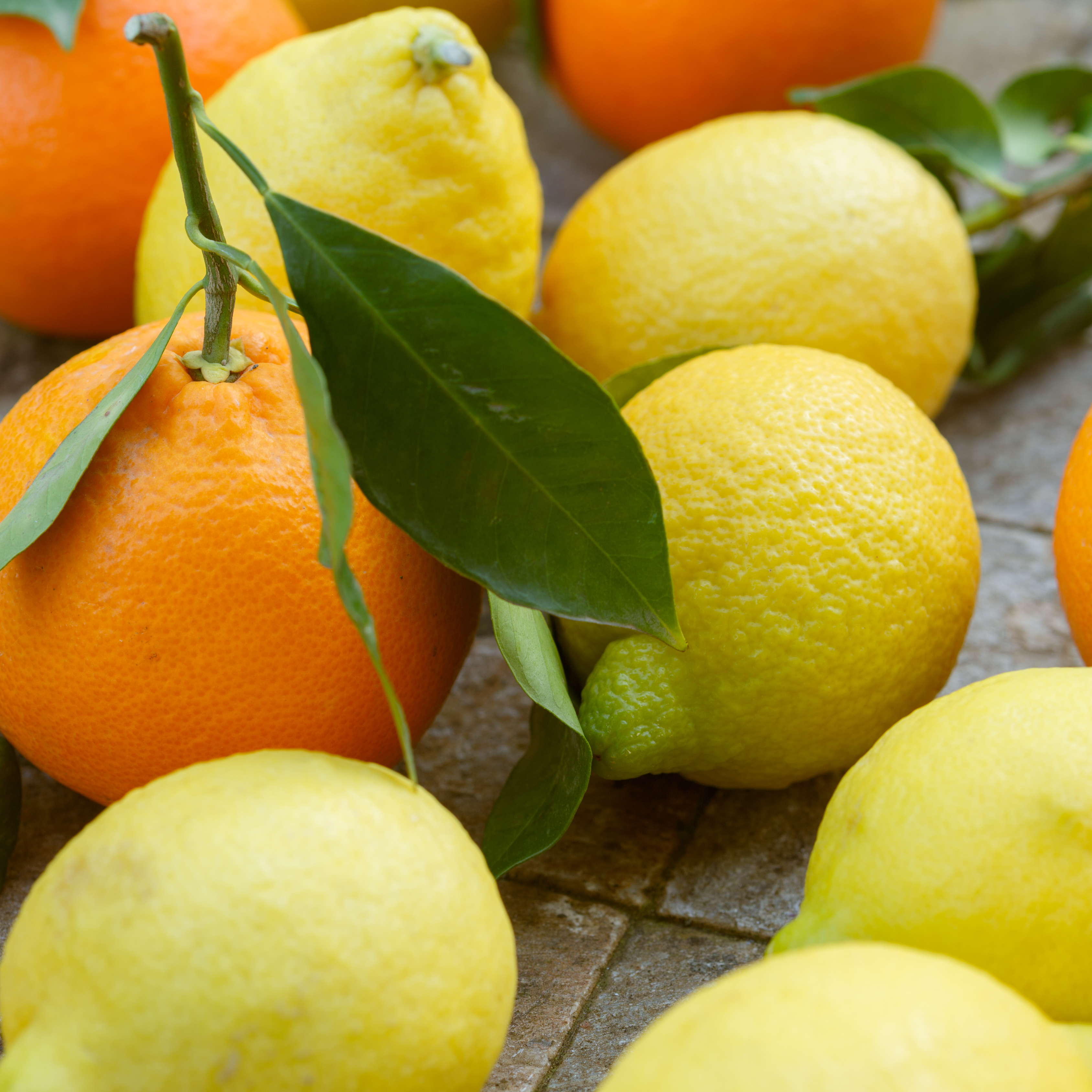 Øko appelsin-citron 6 kg