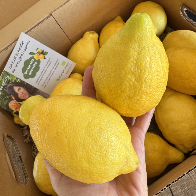 Hand holding a lemon with a box of lemons and a leaflet in the background