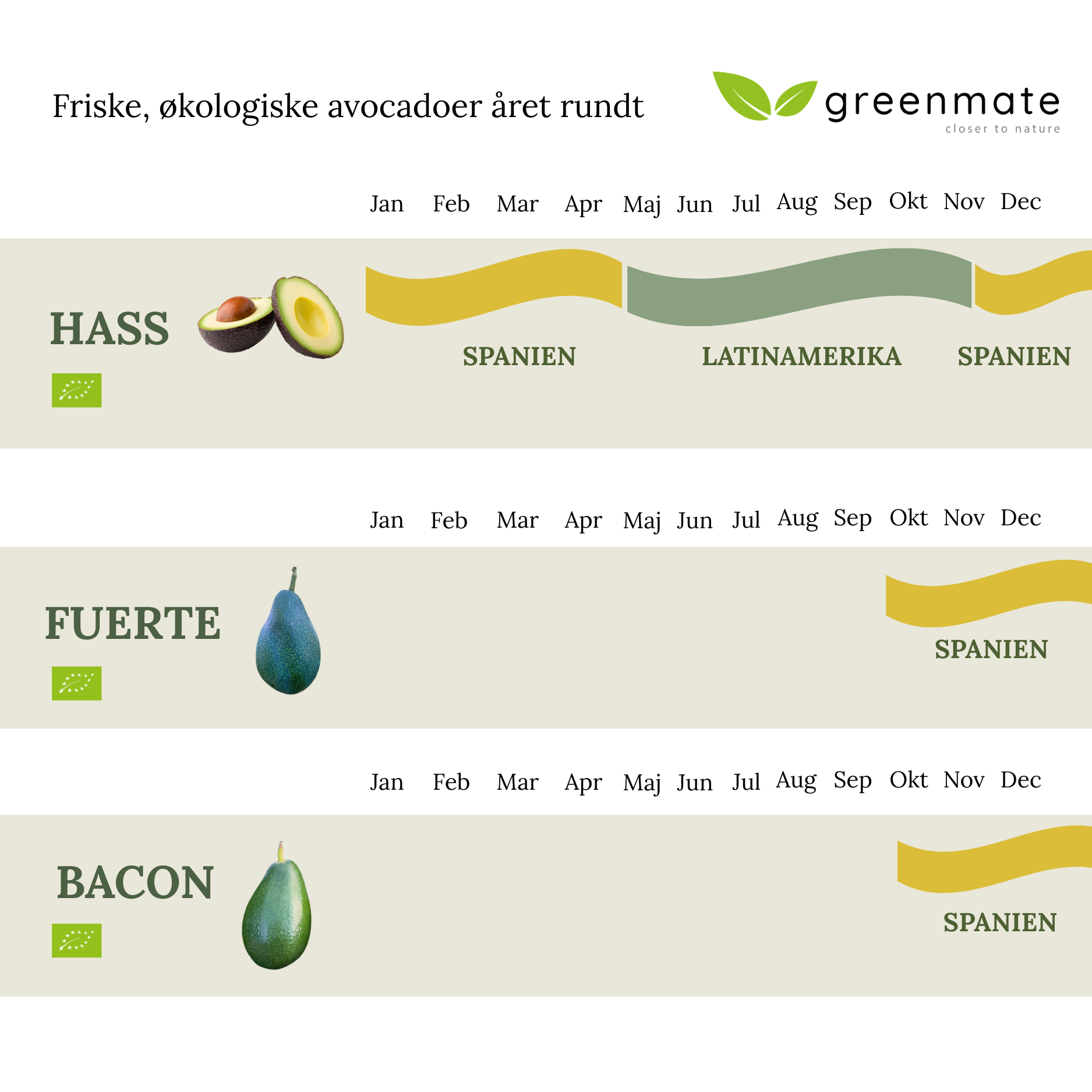 Økologiske Hass Avocadoer 6 kg  (26 - 28 stk.)