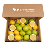 Økologisk citron 5 kg (30-35 stk.)