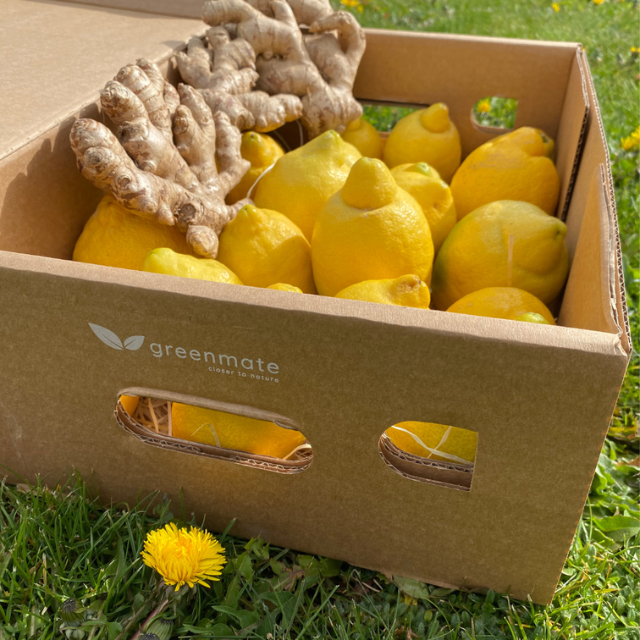 Cardboard box with lemons and ginger on a grassy background