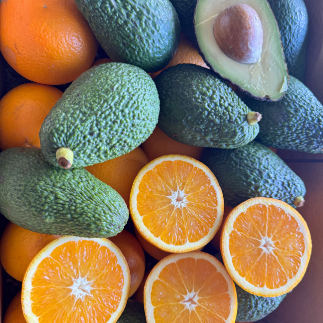 avocados and oranges in box