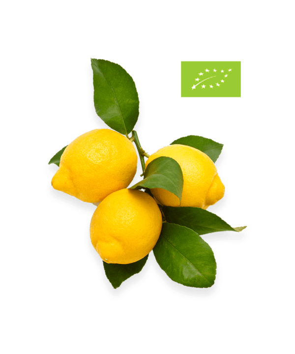 Citroner med blade