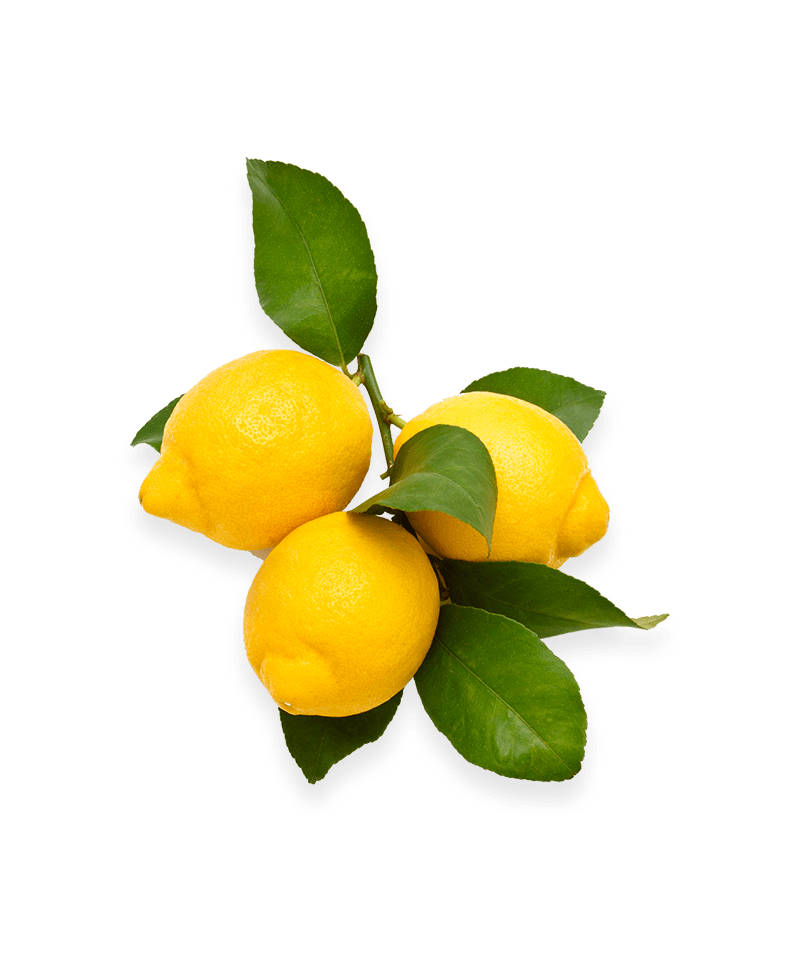 Citron med blade