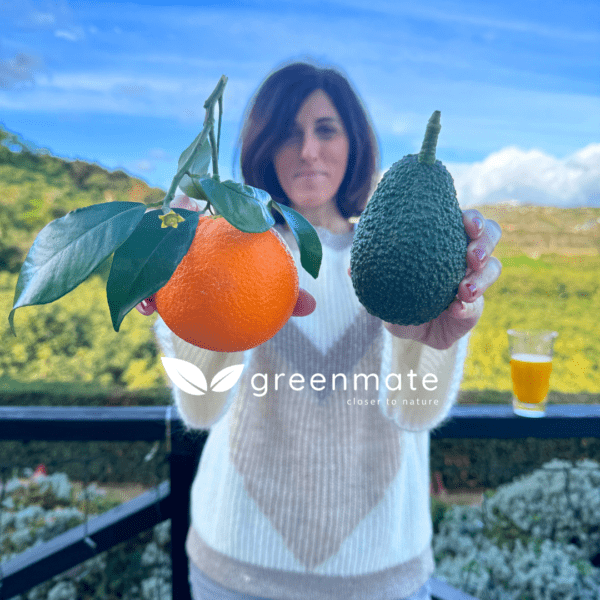 Økologiske appelsiner og avocadoer fra Greenmate, Spanien