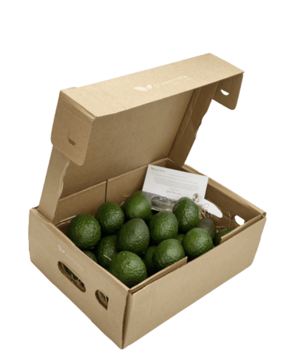 6 kg hass avocado