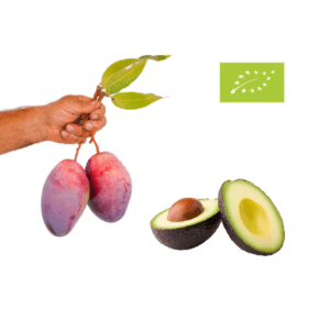 Mango-avocado kasse