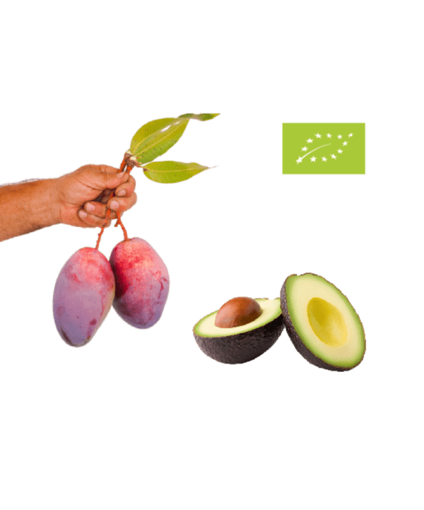 Mango-avocado kasse