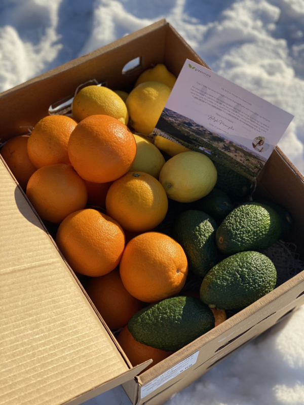 Avo-citrus kasse med avocado, citron og appelsiner