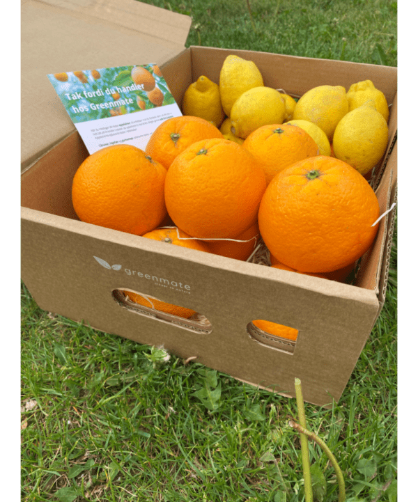 Økologisk appelsin-citron kasse