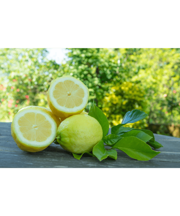Økologisk citron Spanien